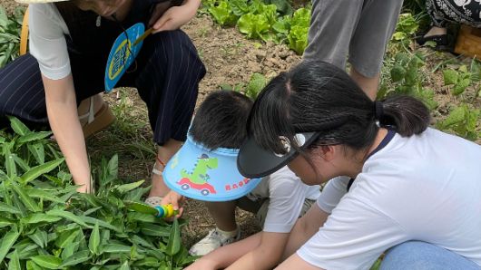 Wuxi's Hope Farm Spreads Seeds of Giving