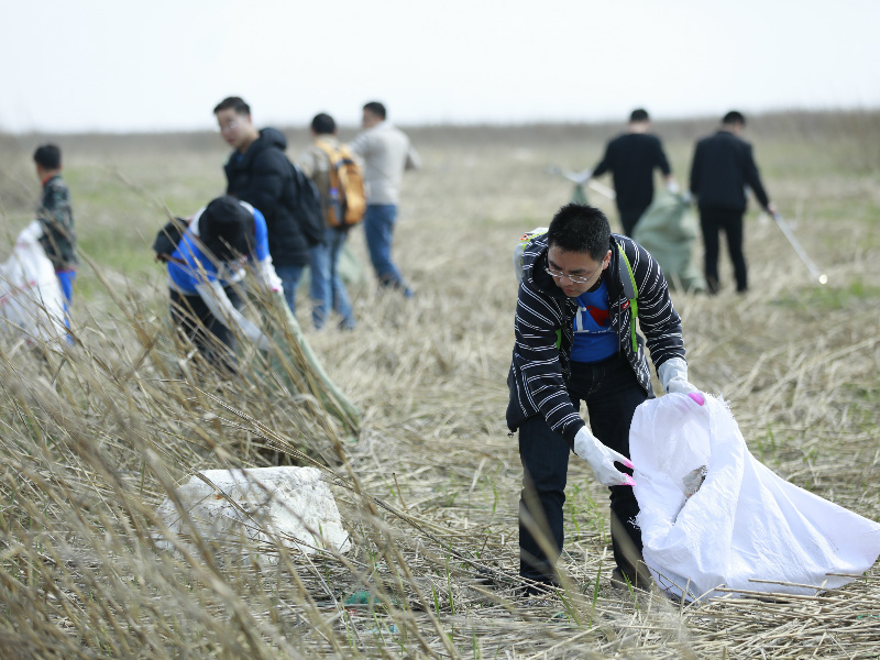 A Year of Positive Environmental Impact