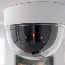 In Aisle Retail Technology ESLs, Cameras and Sensors, Robotics