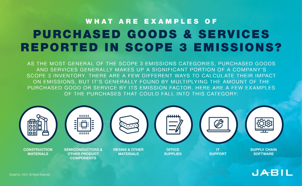 3_WHAT ARE EXAMPLES OF PURCHASED GOODS AND SERVICES REPORTED