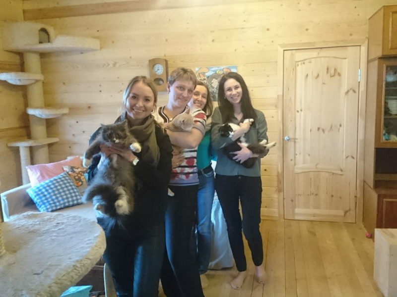 Tver Employees Give Back to Local Community through Biannual Shelter Visits