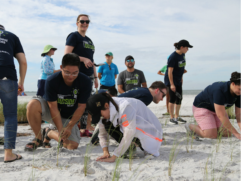 A Year of Positive Environmental Impact